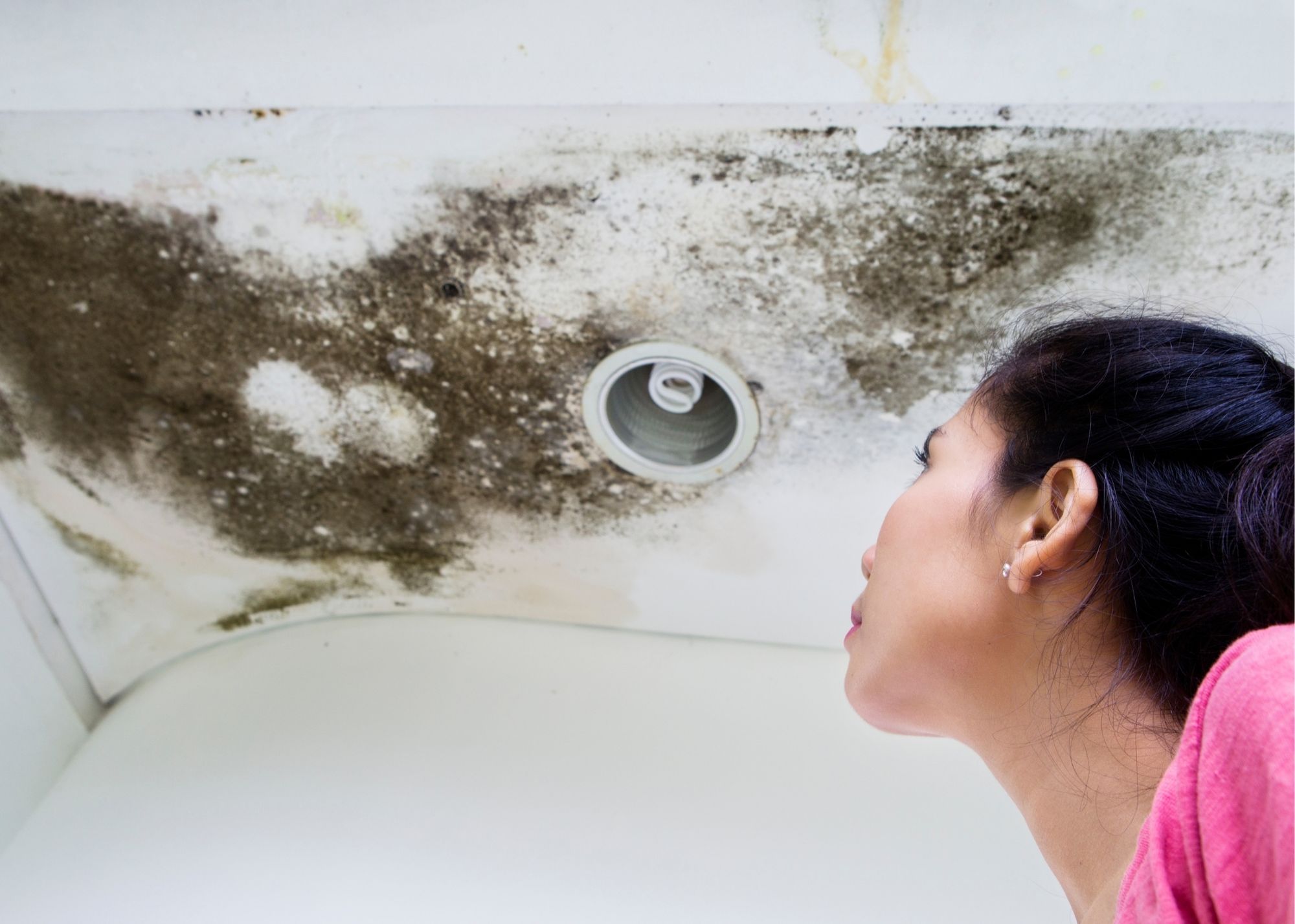 Mold air sampling and testing equipment used in a Sherman Oaks home