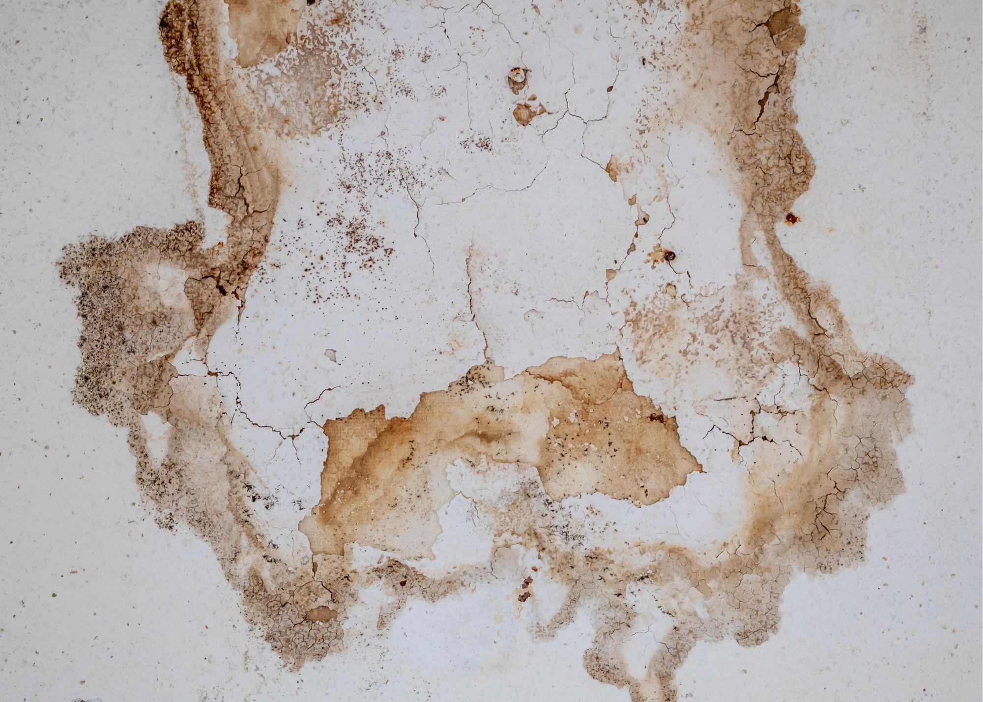 Water damage restoration in Van Nuys, CA